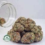 Buy Concentrates Cannabis Tropicana Cookies AAAA at MMJ Express Online Shop