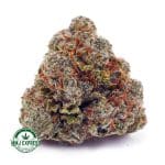 Buy Cannabis Double OG AAA at MMJ Express Online Shop