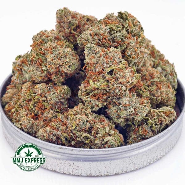 Buy Cannabis Double OG AAA at MMJ Express Online Shop