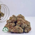 Buy Cannabis Double OG AAA at MMJ Express Online Shop