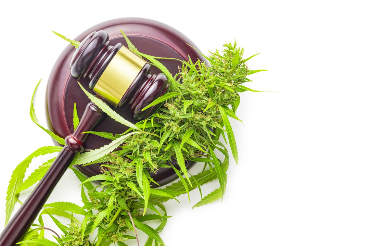 Canada has strict measures on legal cannabis possession limit Canada of that you need to abide by. Do you know what these laws state? Find out!