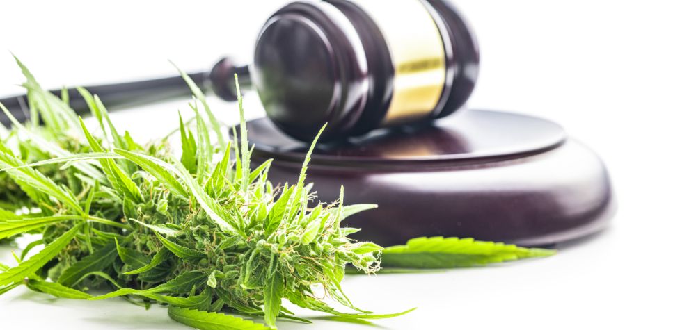 Patients using a medical cannabis prescription from a licensed healthcare provider may be allowed to possess the amount of weed highlighted in the prescription.