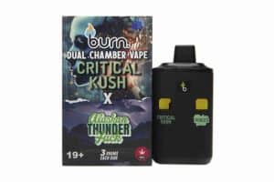 Buy Burn Extracts - Dual Chamber Disposable Vape - Critical Kush + Alaskan Thunder Fuck (3+3 Gram) at MMJ Express Online Shop