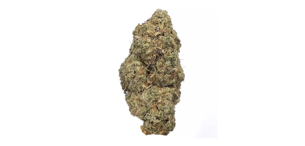 If you are looking to order weed online, MMJ Express has got you covered. Our BC bud online dispensary in Canada is known for offering premium cannabis products at the lowest prices in the country.