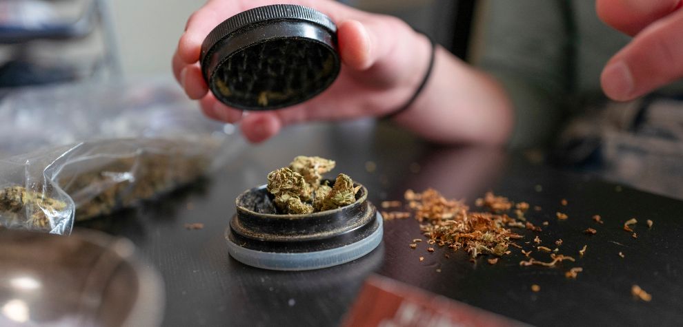 When buying pot online from BC, understand that it’s going to be like browsing a weed candy store.