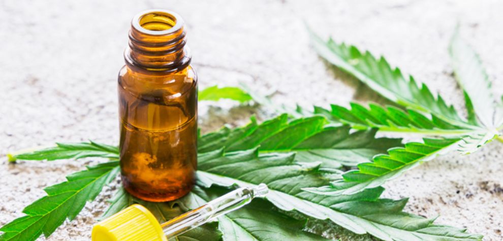 Cannabinoids are natural compounds found in the cannabis plant that interact with the body's endocannabinoid system.