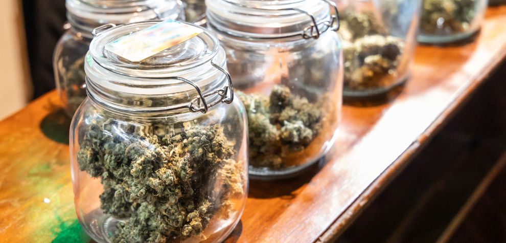 If you’re going to buy weed at an online pot dispensary Canada, know that not all of them are the same. For instance, when you shop for pot online from BC, understand that here, there’s a blend of private and government-run dispensaries.