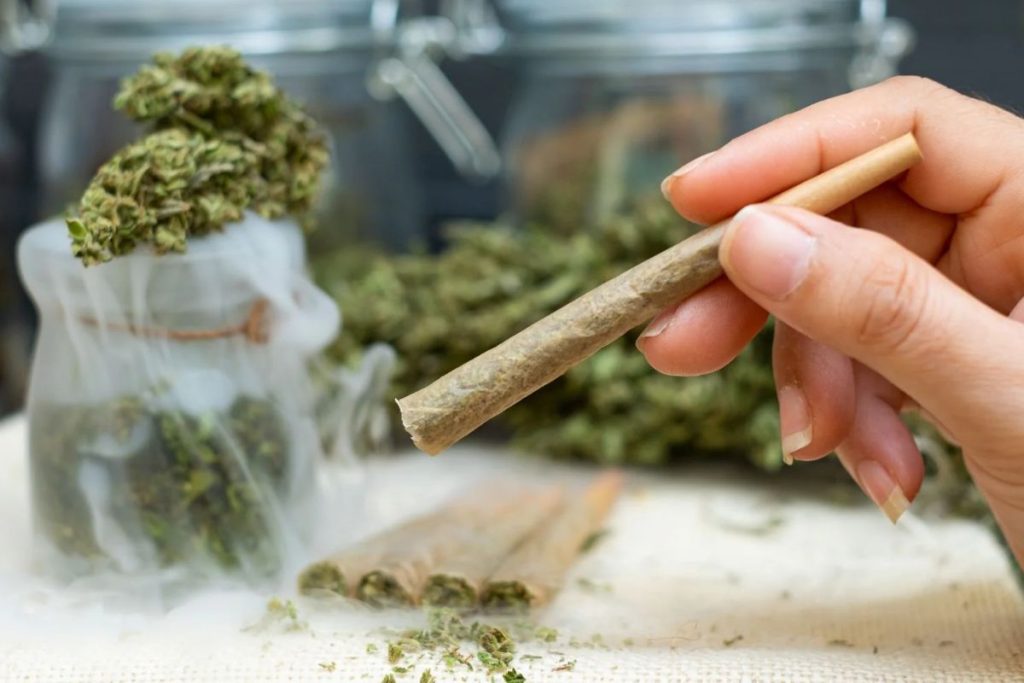 Discover the difference between joint and blunt. Explore differences in rolling, taste & health impact to determine which best suits your lifestyle.