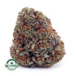 Buy Cannabis Chemo Kush AAA at MMJ Express Online Shop