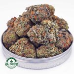 Buy Cannabis Chemo Kush AAA at MMJ Express Online Shop