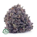 Buy Cannabis Purple Rose AAAA at MMJ Express Online Shop