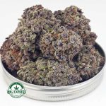 Buy Cannabis Purple Rose AAAA at MMJ Express Online Shop