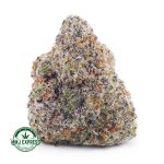 Buy Cannabis Vanilla Kush at MMJ Express Online Shop