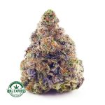 Buy Cannabis Blueberry Cookies at MMJ Express Online Shop