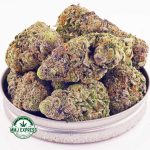 Buy Cannabis Blueberry Cookies at MMJ Express Online Shop