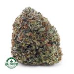 Buy Cannabis Rockstar AA at MMJ Express Online Shop