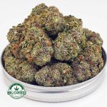 Buy Cannabis Rockstar AA at MMJ Express Online Shop