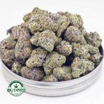 Buy Cannabis Champagne Kush AAAA (Popcorn Nugs) MMJ Express Online Shop