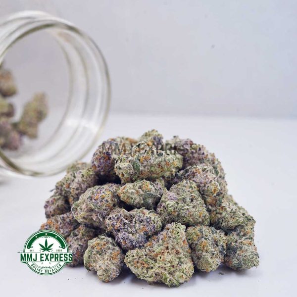 Buy Cannabis Champagne Kush AAAA (Popcorn Nugs) MMJ Express Online Shop