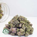 Buy Cannabis Pink Comatose AAAA (Popcorn Nuts) at MMJ Express Online Shop