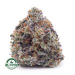 Buy Cannabis Lemon Zest AA at MMJ Express Online Shop