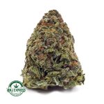 Buy Cannabis Pineapple Express AA at MMJ Express Online Shop