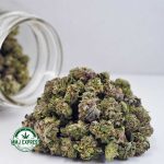 Buy Cannabis Galactic Gas AAAA (Popcorn Nugs)  at MMJ Express Online Shop