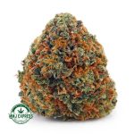 Buy Cannabis Girl Scout Cookies AAA at MMJ Express Online Shop