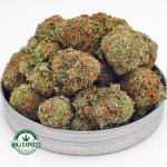 Buy Cannabis Girl Scout Cookies AAA at MMJ Express Online Shop