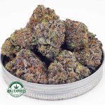 Buy Cannabis Island Pink Kush AAAA+, Craft at MMJ Express Online Shop