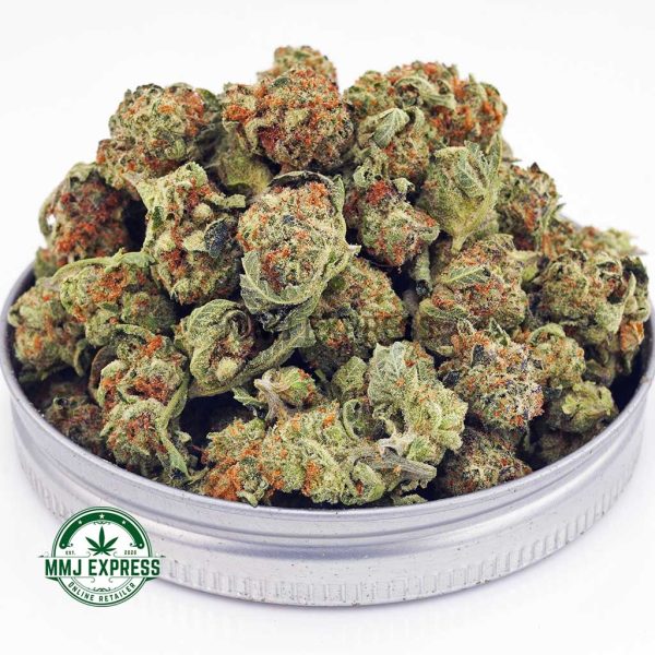 Buy Cannabis Dolato AAAA (Popcorn Nugs) at MMJ Express Online Shop