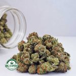Buy Cannabis Dolato AAAA (Popcorn Nugs) at MMJ Express Online Shop