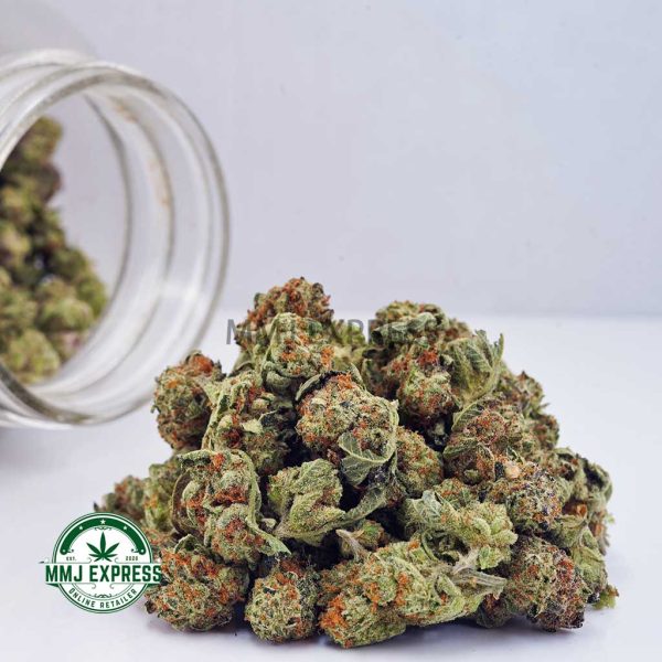 Buy Cannabis Dolato AAAA (Popcorn Nugs) at MMJ Express Online Shop