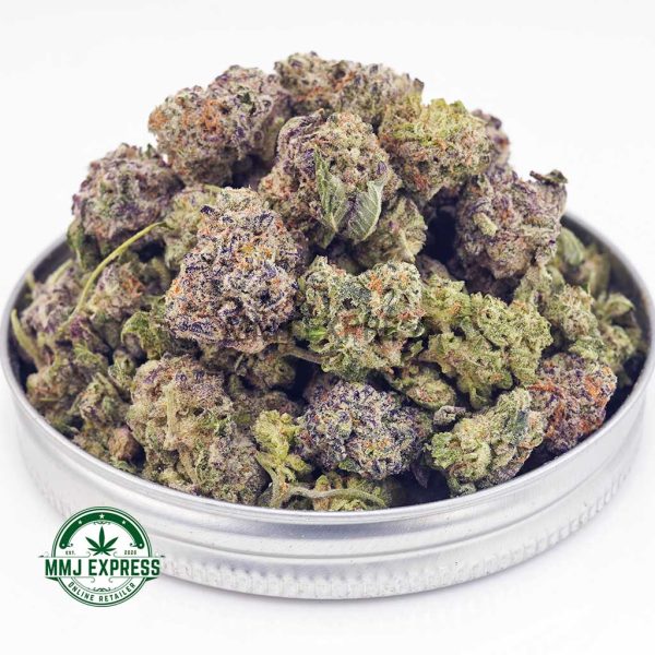 Buy Cannabis Champagne Kush AAAA (Popcorn Nugs) MMJ Express Online Shop