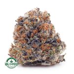 Buy Cannabis Acapulco Gold AA at MMJ Express Online Shop