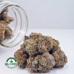 Buy Cannabis Acapulco Gold AA at MMJ Express Online Shop
