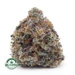 Buy Cannabis White Fire OG AAA at MMJ Express Online Shop