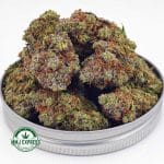 Buy Cannabis Rockstar AA at MMJ Express Online Shop