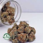 Buy Cannabis GMO Cookies AAA at MMJ Express Online Shop