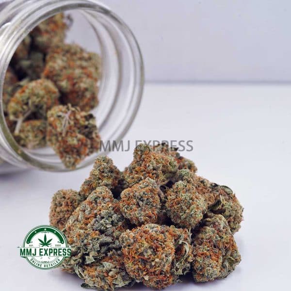 Buy Cannabis GMO Cookies AAA at MMJ Express Online Shop