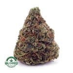 Buy Cannabis Vanilla Kush at MMJ Express Online Shop