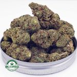 Buy Cannabis Vanilla Kush at MMJ Express Online Shop