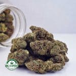 Buy Cannabis Vanilla Kush at MMJ Express Online Shop