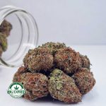 Buy Cannabis Galactic Death Star AAAA at MMJ Express Online Shop