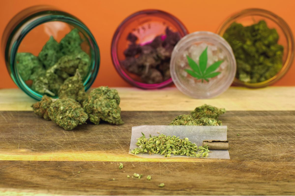 Craving something unique to bless your tastebuds and make the mood right? It's time to try out the Hawaii Maui Waui strain. Learn more about this.