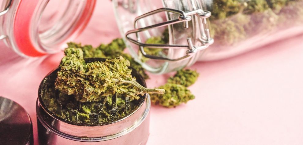 Hawaii Maui Waui, also known as Hawaii Maui Wowie or simply Maui Wowie, is a classic strain that traces its roots to the Hawaiian Islands.