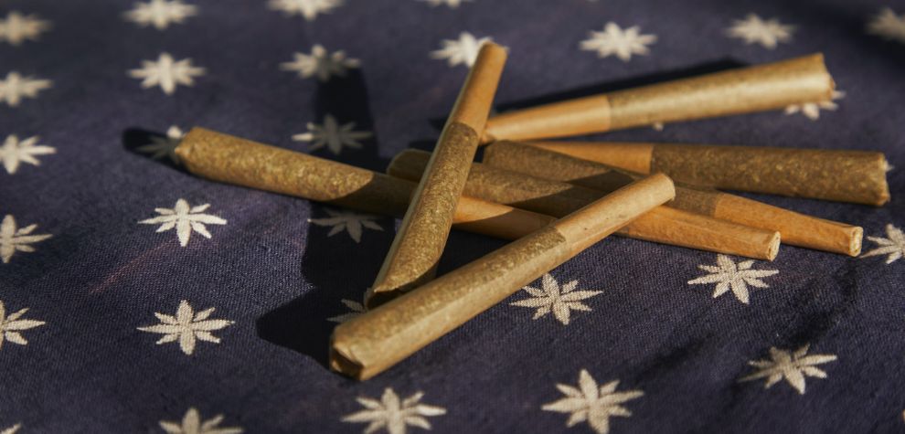 Smoking cannabis has been a centuries-old practice, so rolling weed in papers isn’t exactly a new thing. However, modern joints, then called cannabis cigarettes, emerged for recreational use in North America in the early 20th century.