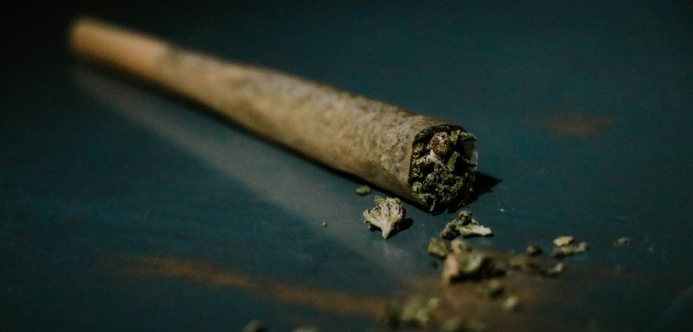 Before you buy weed online in Canada, explore the difference between joint and blunt to determine what is better suited for your lifestyle. Here are the main differences to consider when you order weed online: