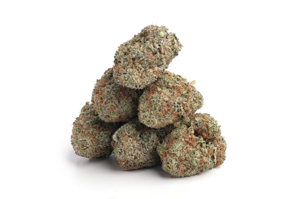 Is the Purple Kush strain worth trying? Explore its origin, genetics, high THC levels, effects and rich flavours to determine if it's worth buying online.