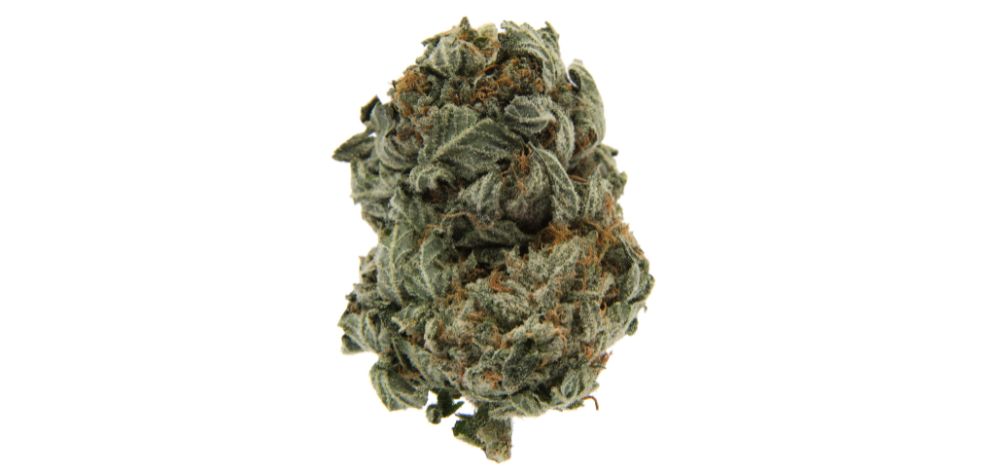 Terpenes are organic compounds that determine a plant’s scent and taste. In cannabis, terpenes are the compounds responsible for each strain's distinct flavour and aroma.